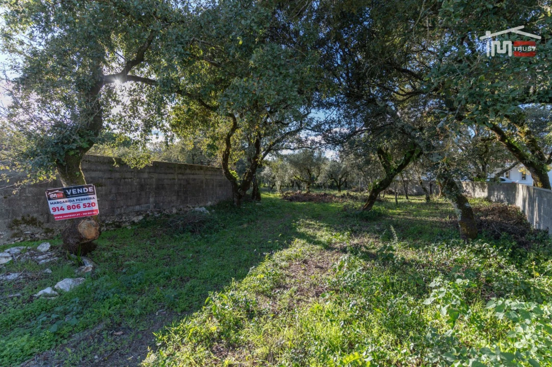 Terreno para Venda em Fatima Foto 2