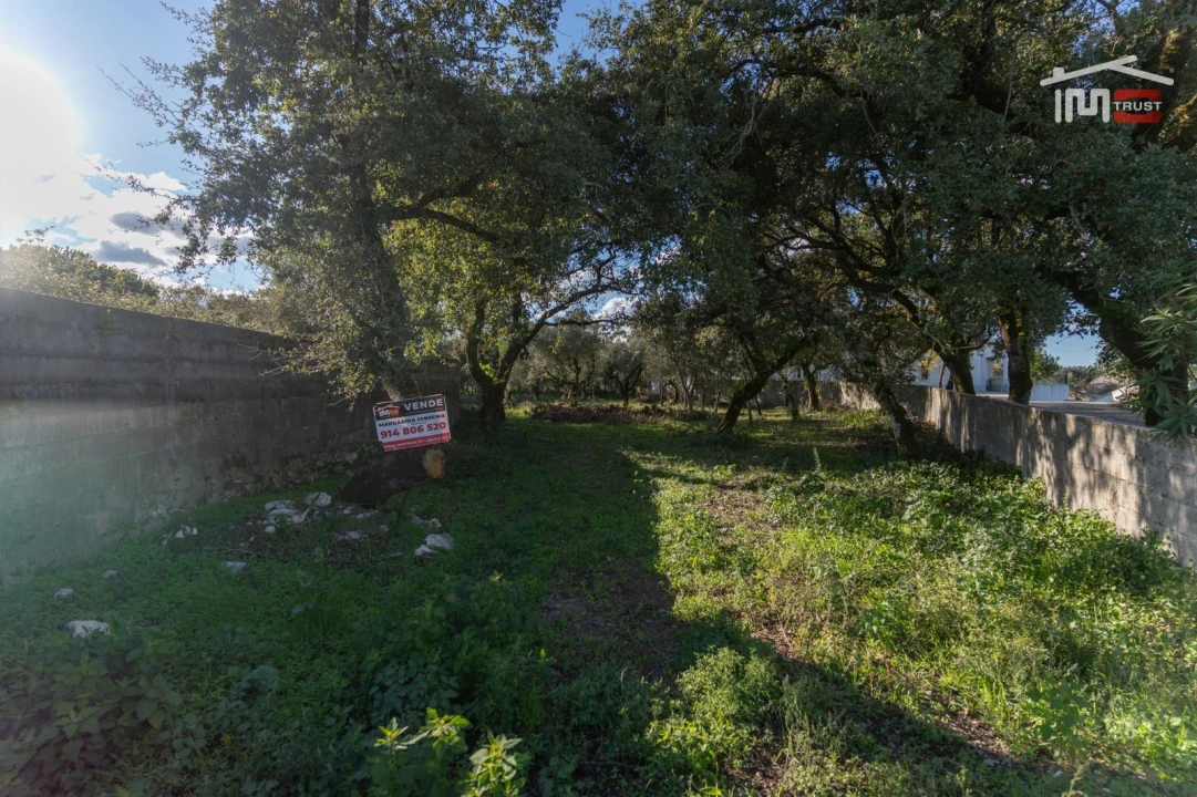 Terreno para Venda em Fatima Foto 7