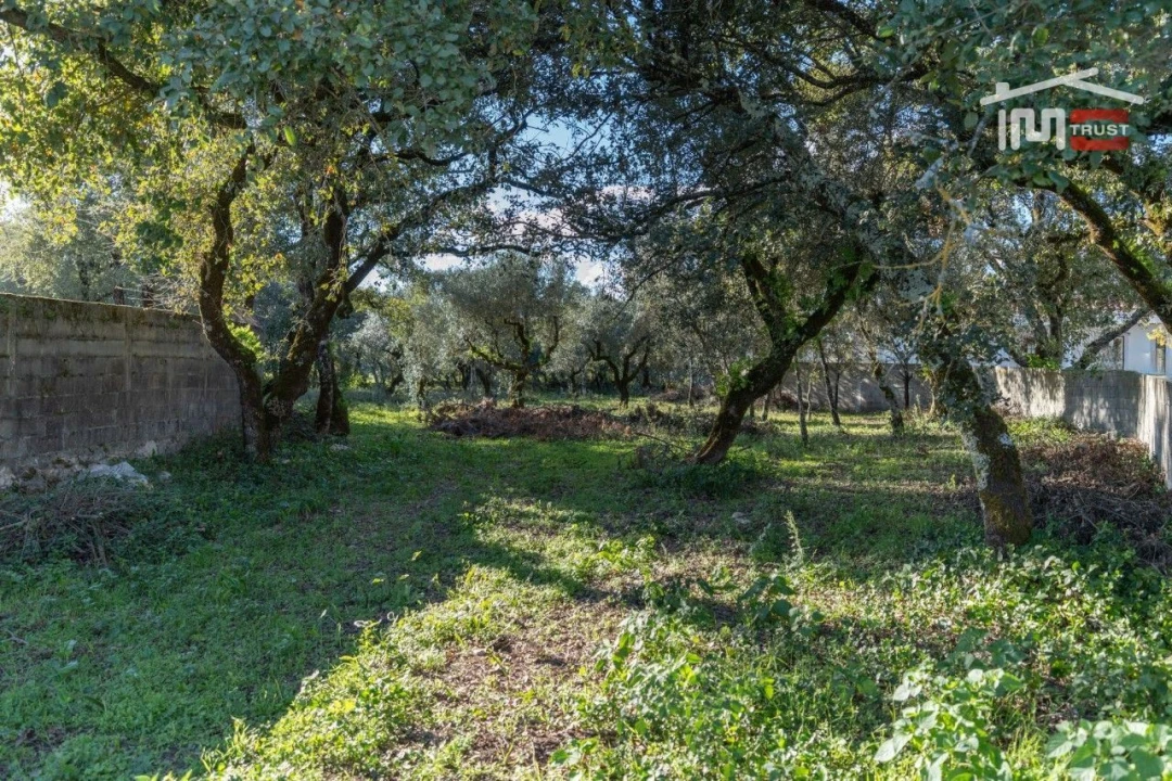 Terreno para Venda em Fatima Foto 4