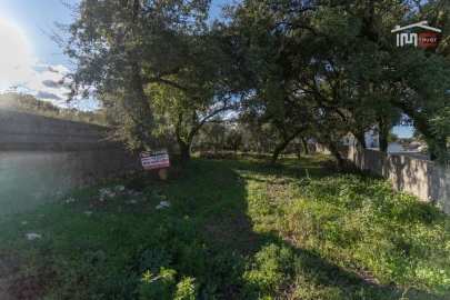 Terreno para Venda em Fatima