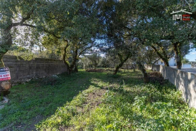 Terreno para Venda em Fatima