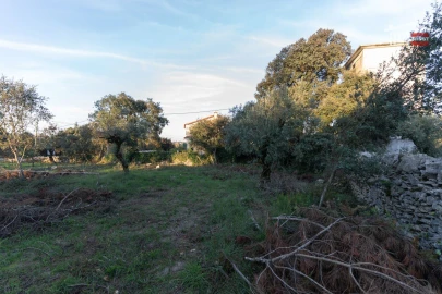 Terreno para Venda em Fatima