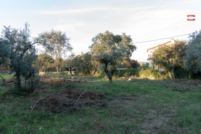 Terreno para Venda em Fatima
