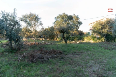 Terreno para Venda em Fatima
