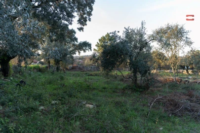 Terreno para Venda em Fatima