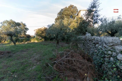 Terreno para Venda em Fatima