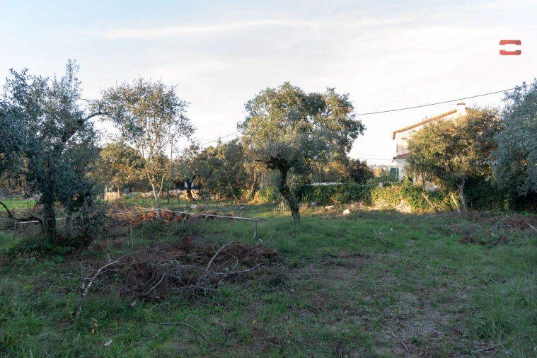 Terreno para Venda em Fatima Foto 4