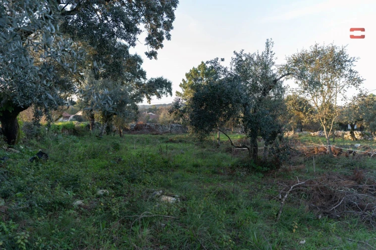 Terreno para Venda em Fatima Foto 10