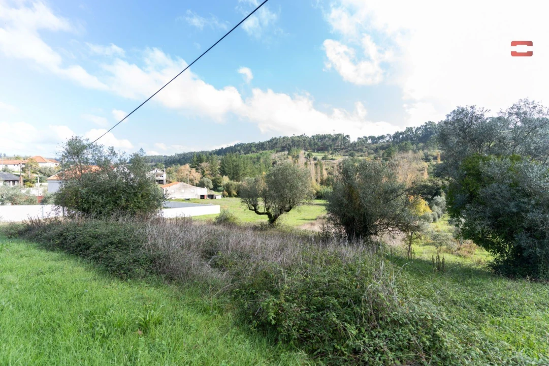 Terreno P/ Prédio para Venda em Espite Foto 6