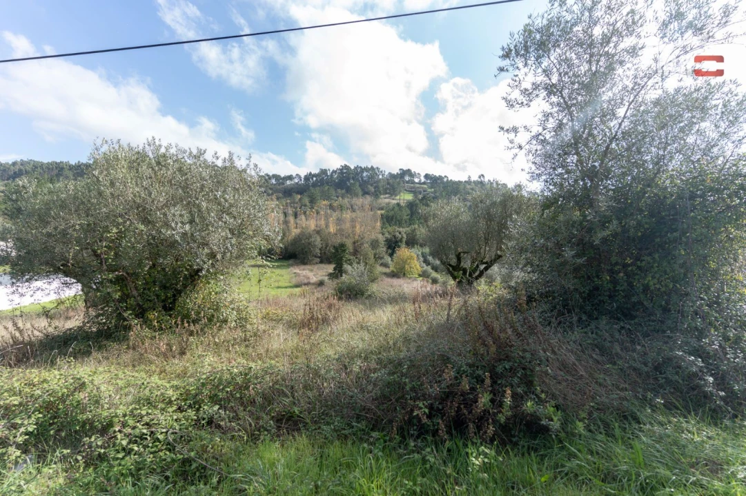 Terreno P/ Prédio para Venda em Espite Foto 8