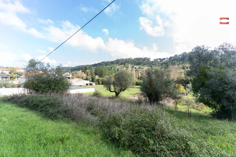 Terreno P/ Prédio para Venda em Espite Foto 6