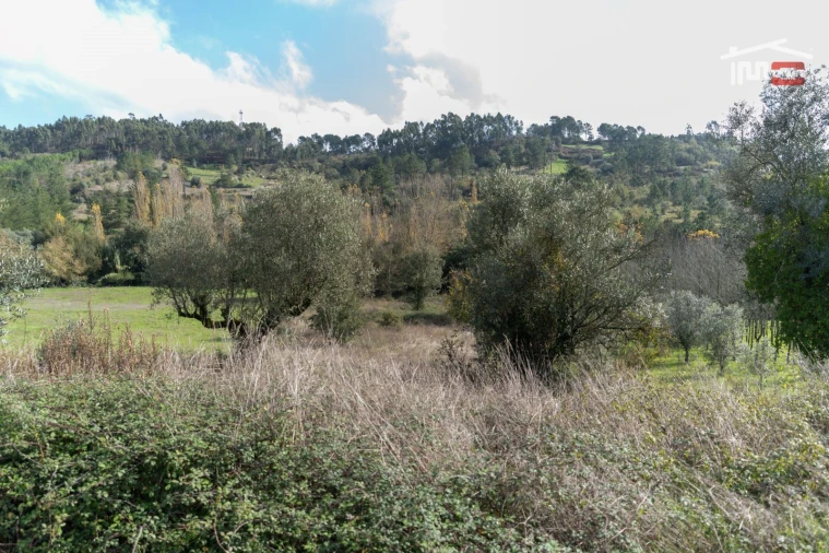 Terreno P/ Prédio para Venda em Espite Foto 7