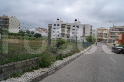 Terreno para Venda em Albergaria-A-Velha e Valmaior
