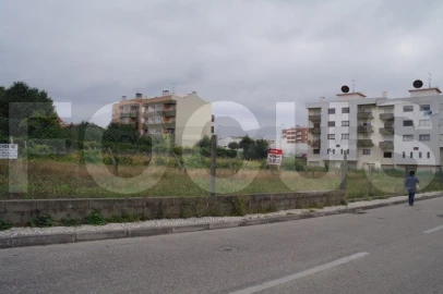 Terreno para Venda em Albergaria-A-Velha e Valmaior