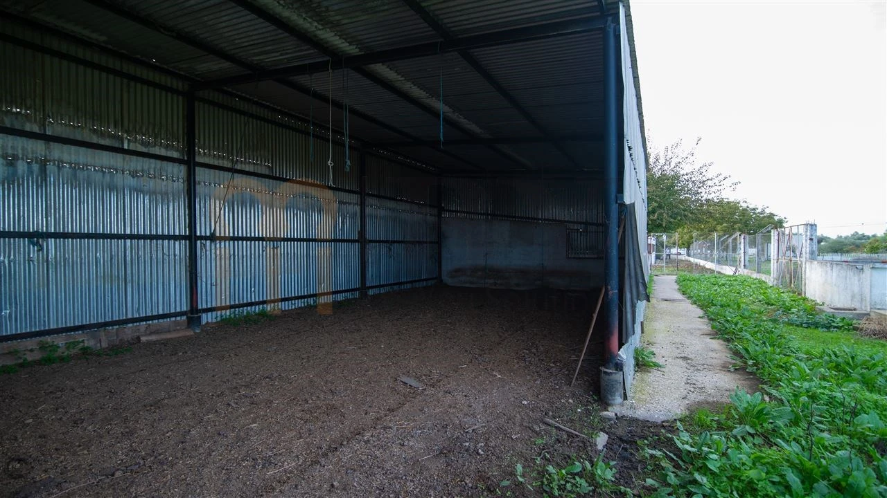 Quinta T4 para Venda em Vila Nova da Baronia Foto 26