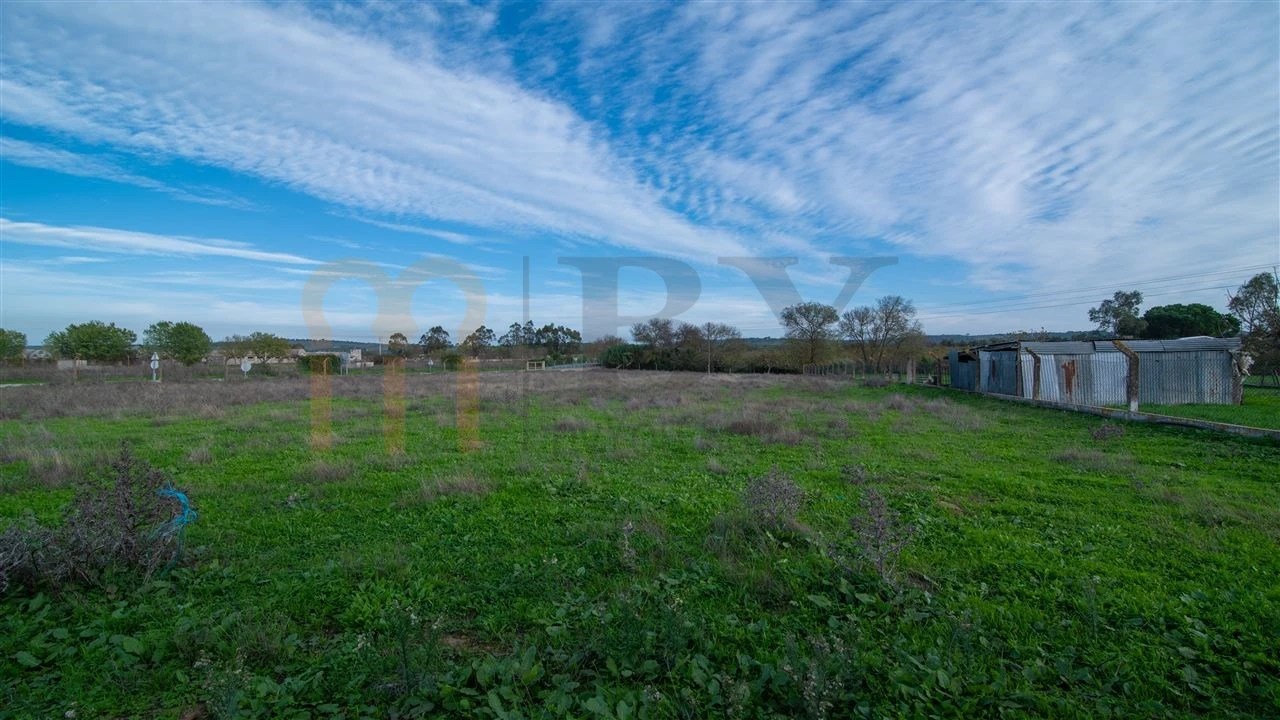 Quinta T4 para Venda em Vila Nova da Baronia Foto 28