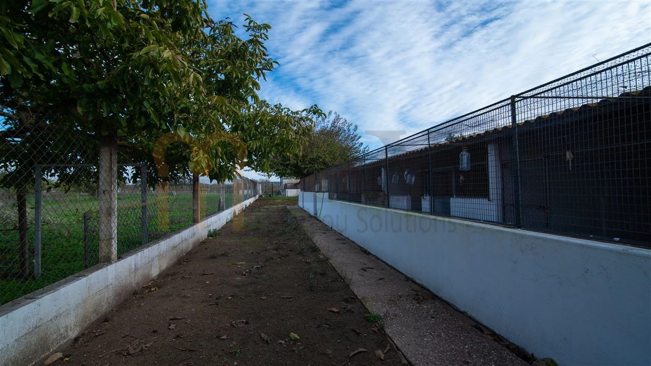 Quinta T4 para Venda em Vila Nova da Baronia Foto 29
