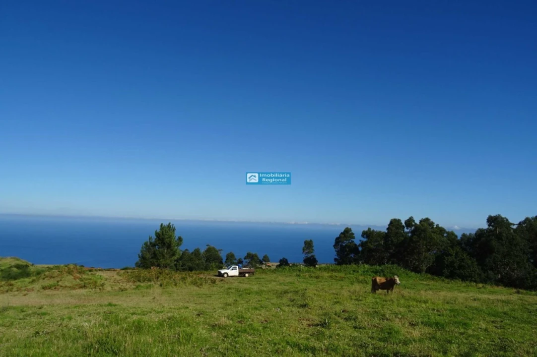 Terreno para Venda em Ponta do Pargo Foto 3