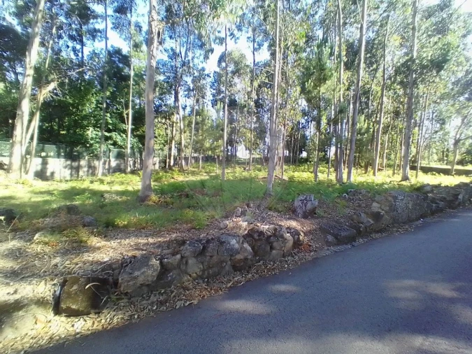 Terreno para Venda em Pedroso e Seixezelo Foto 2