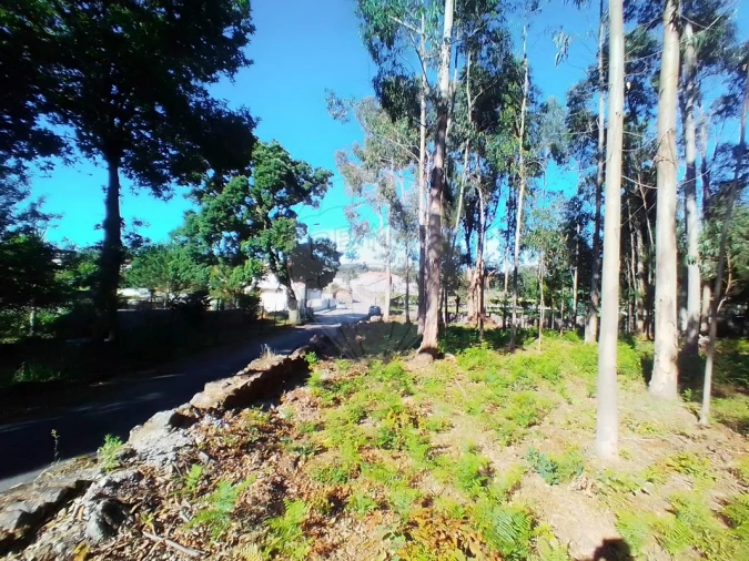 Terreno para Venda em Pedroso e Seixezelo Foto 5