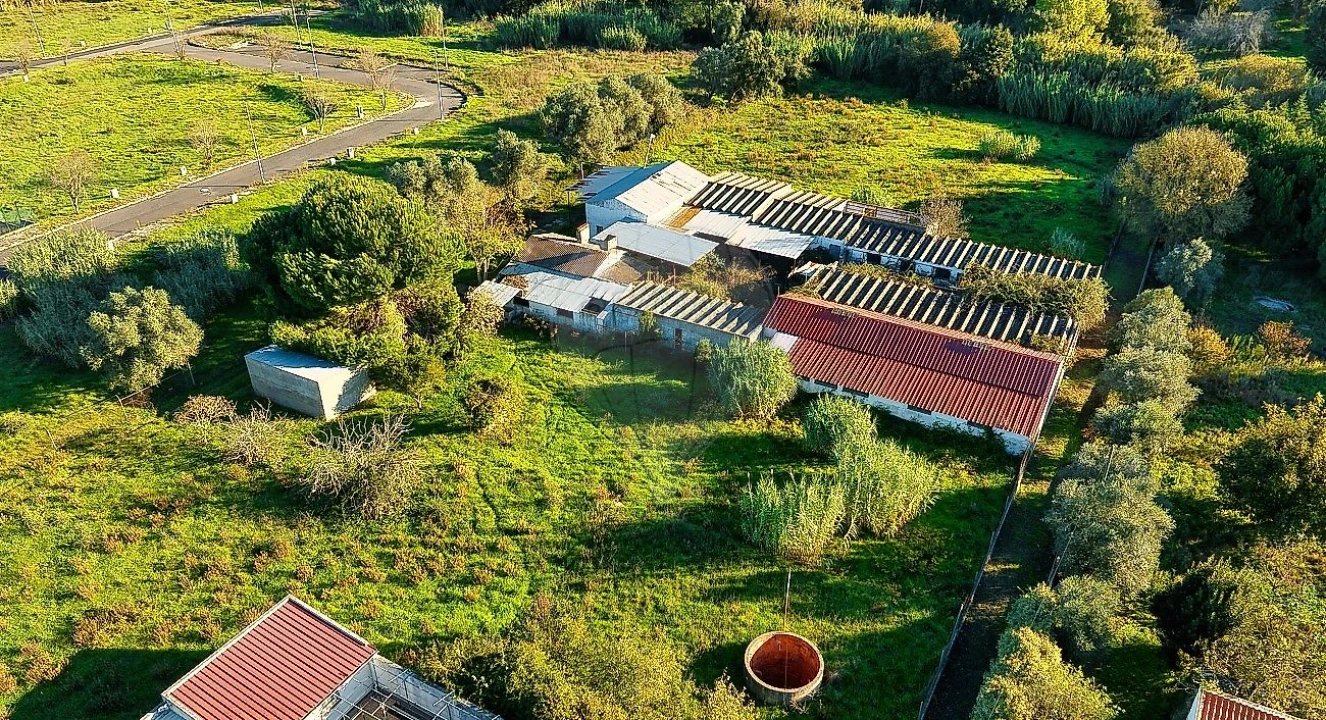Negócio para Venda em Cartaxo e Vale da Pinta Foto 13