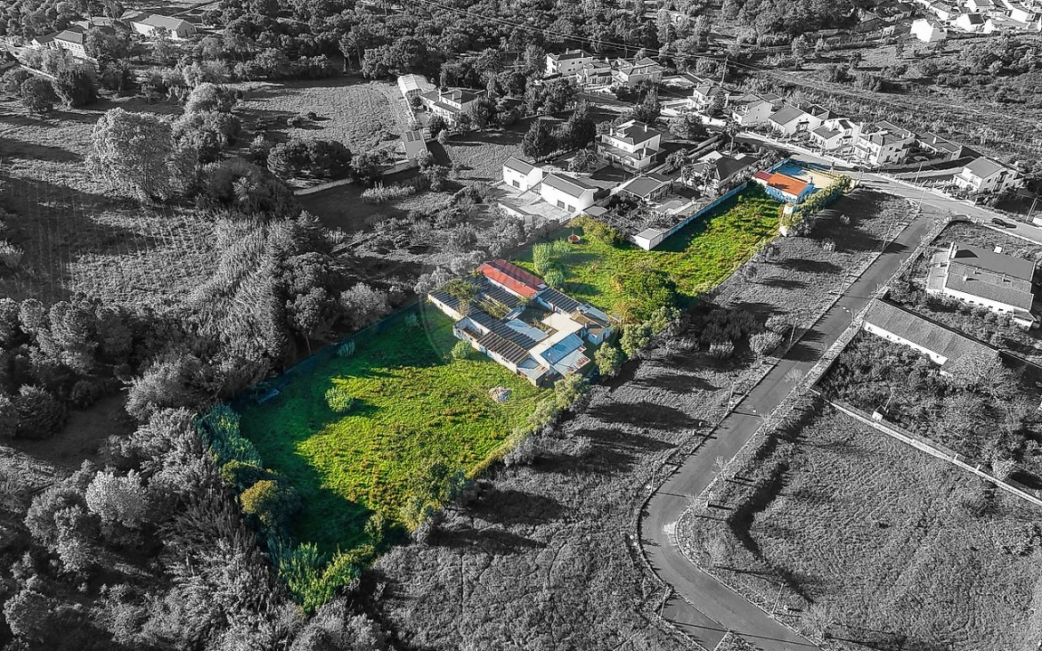 Negócio para Venda em Cartaxo e Vale da Pinta Foto 7