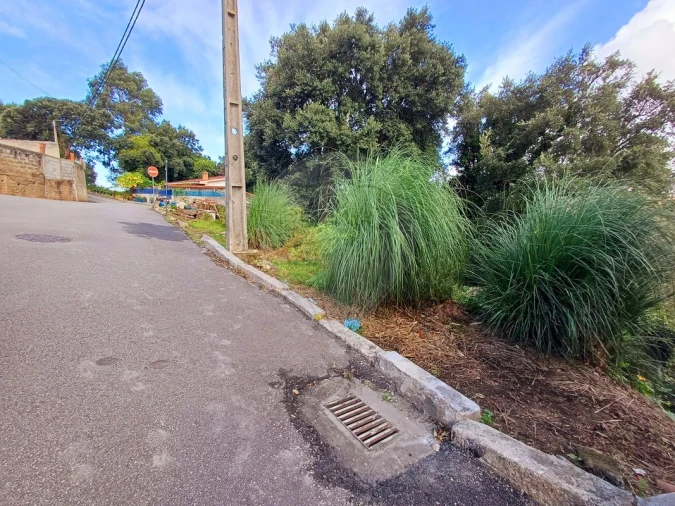 Terreno para Venda em São Felix da Marinha Foto 16