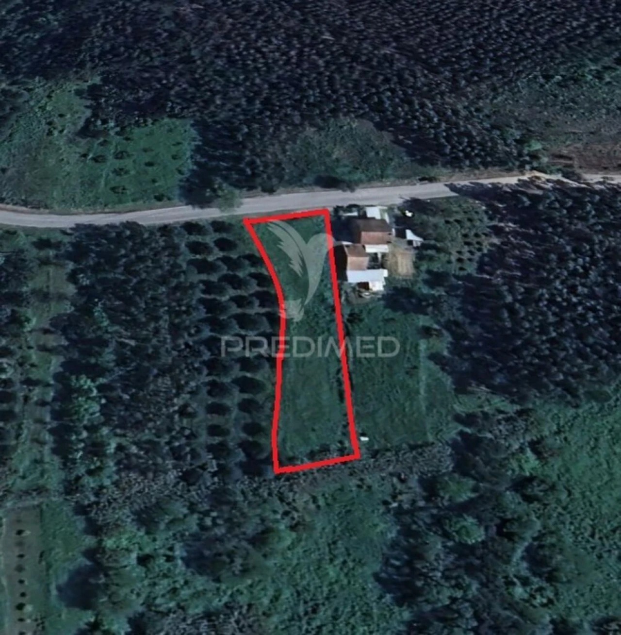 Terreno para Venda em Alcobertas Foto 1