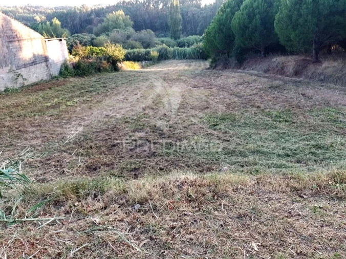 Terreno para Venda em Alcobertas Foto 3