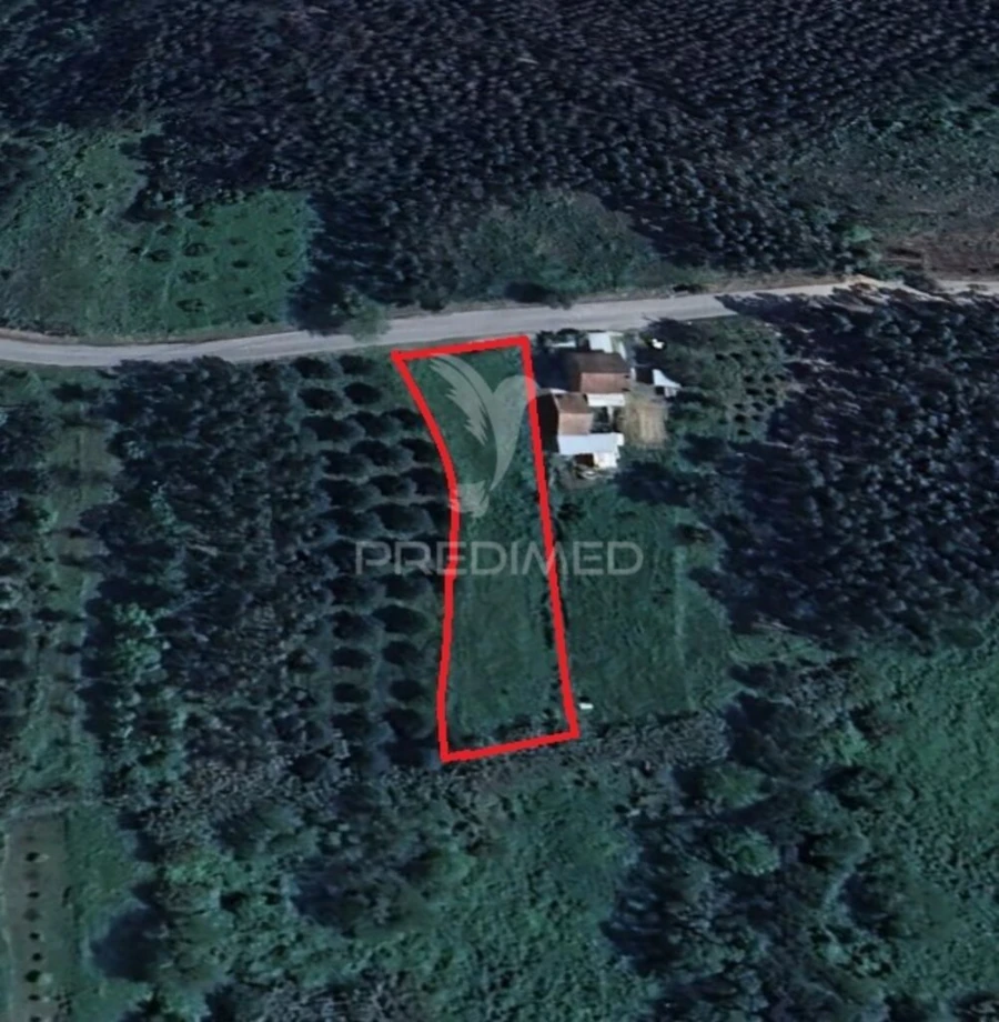 Terreno para Venda em Alcobertas