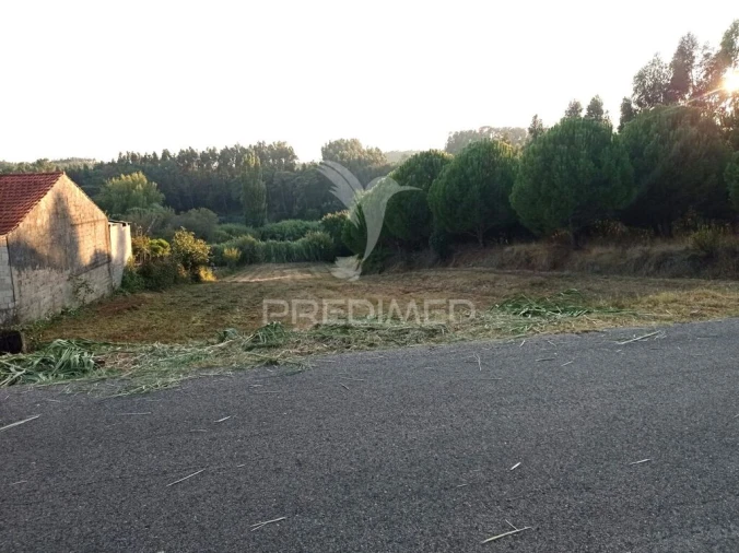 Terreno para Venda em Alcobertas Foto 2