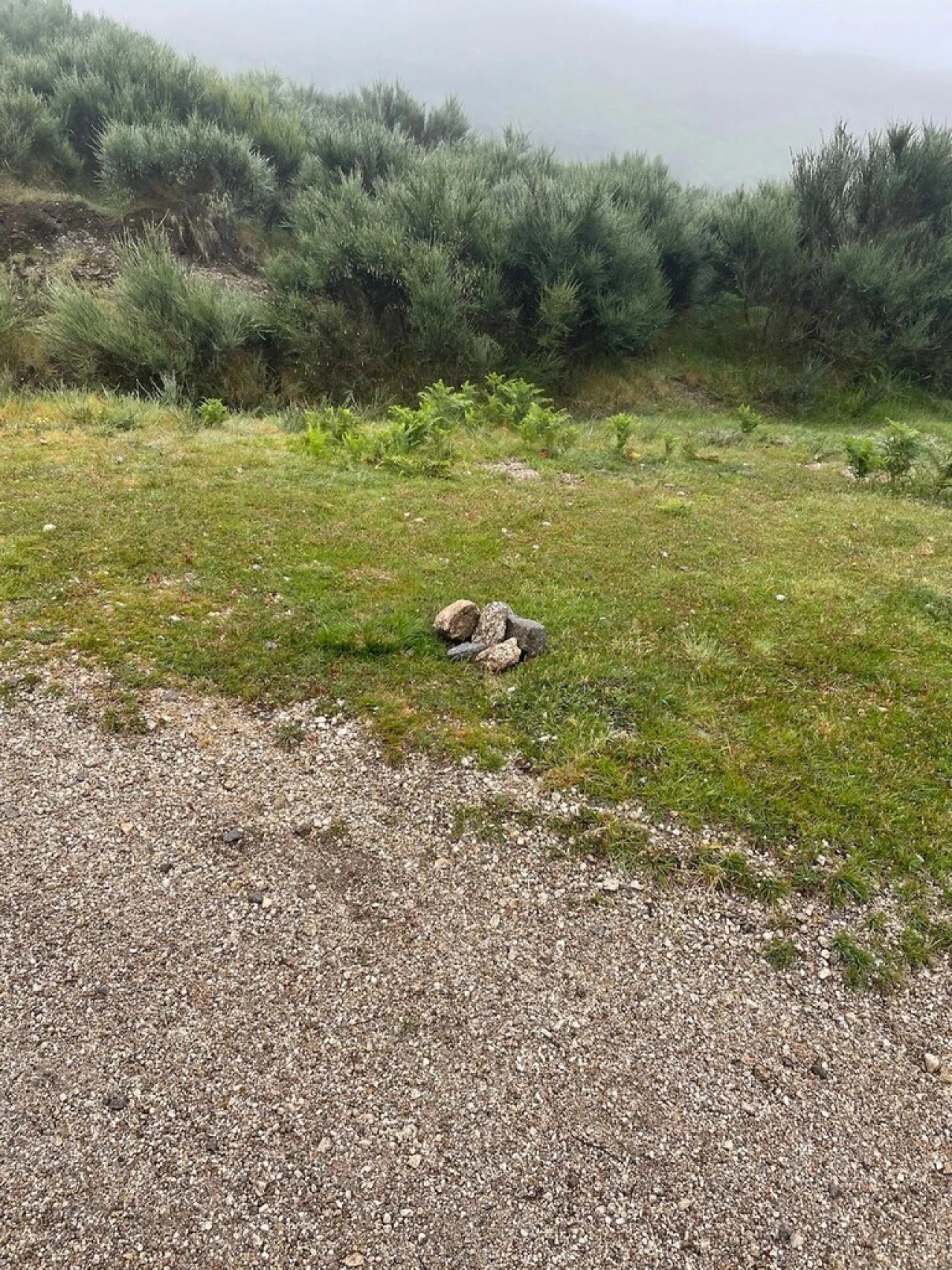 Terreno para Venda em Cantelães Foto 2