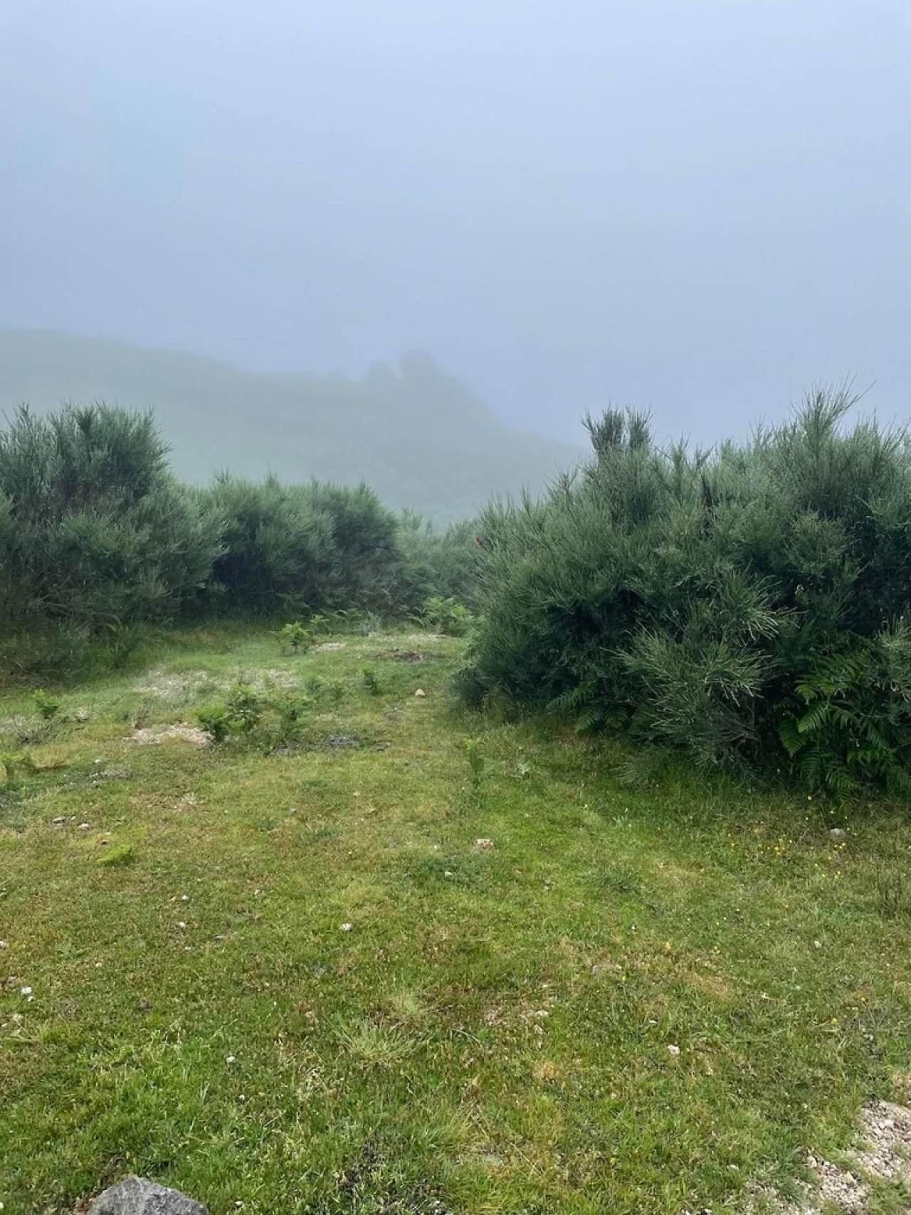 Terreno para Venda em Cantelães Foto 1