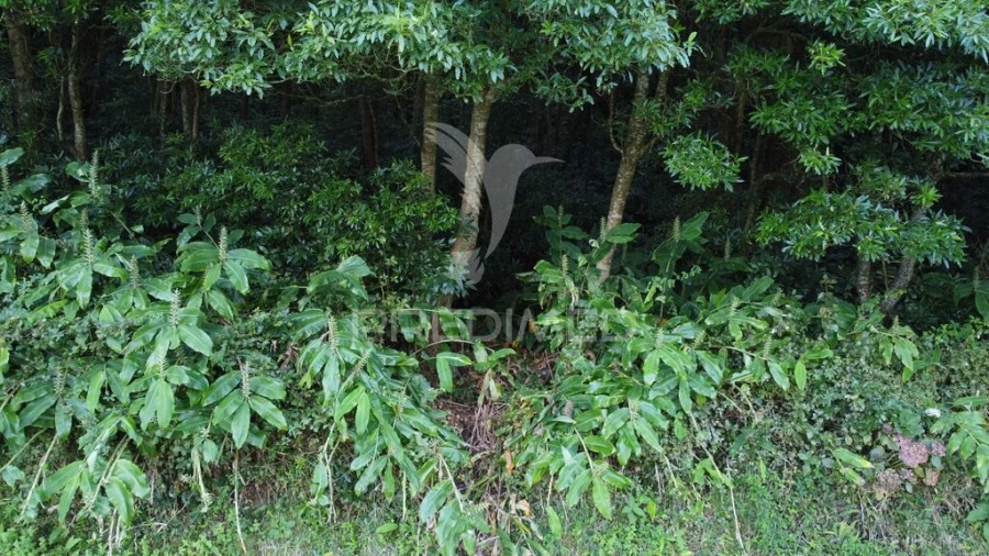 Terreno para Venda em Fontinhas Foto 3