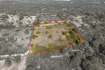 Terreno para Venda em Almancil
