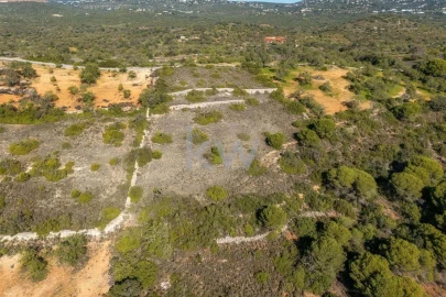 Terreno para Venda em Almancil