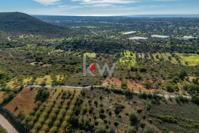 Terreno para Venda em Almancil