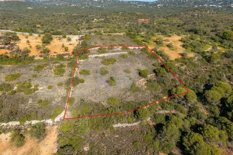 Terreno para Venda em Almancil Foto 13