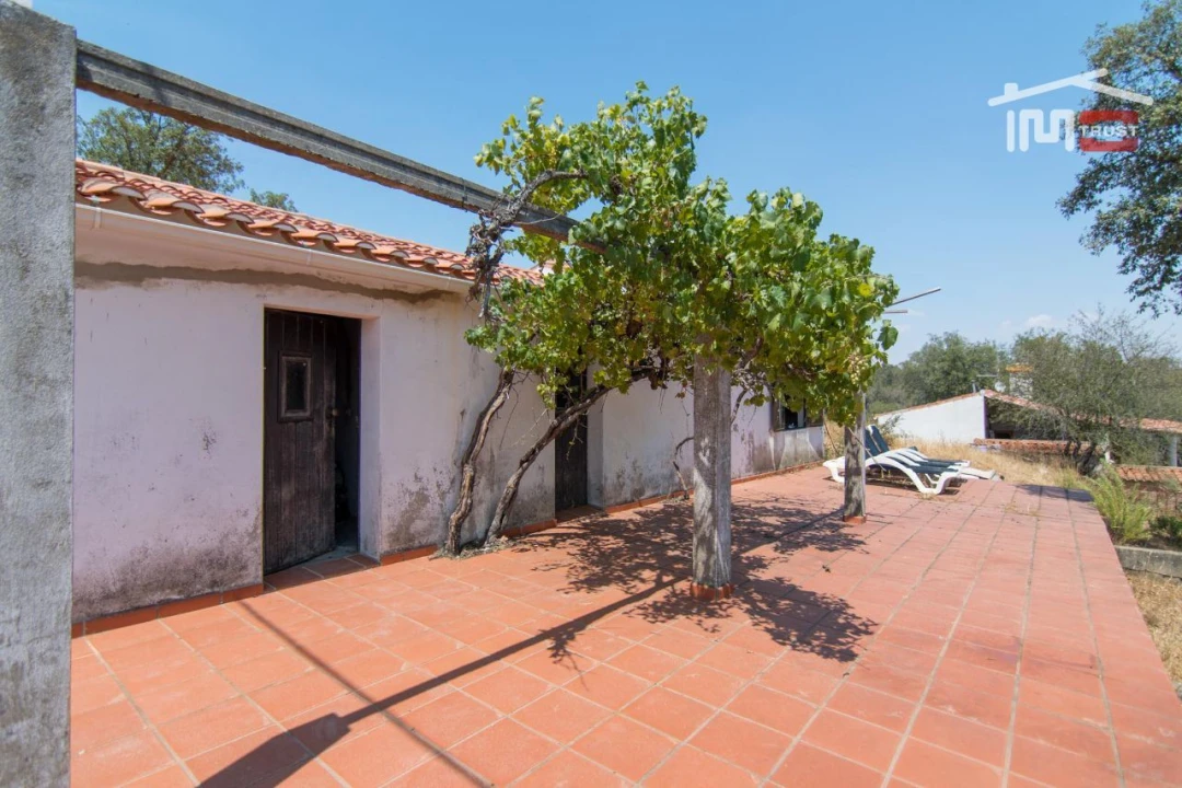 Quinta T0 para Venda em Esperança Foto 5