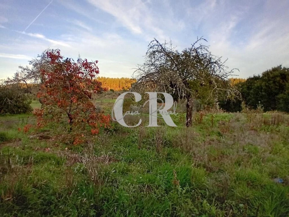 Moradia T3 para Venda em Graça Foto 23