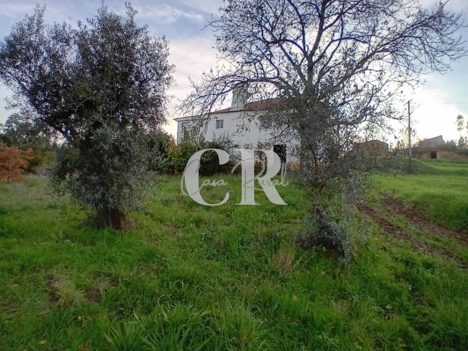 Moradia T3 para Venda em Graça Foto 25