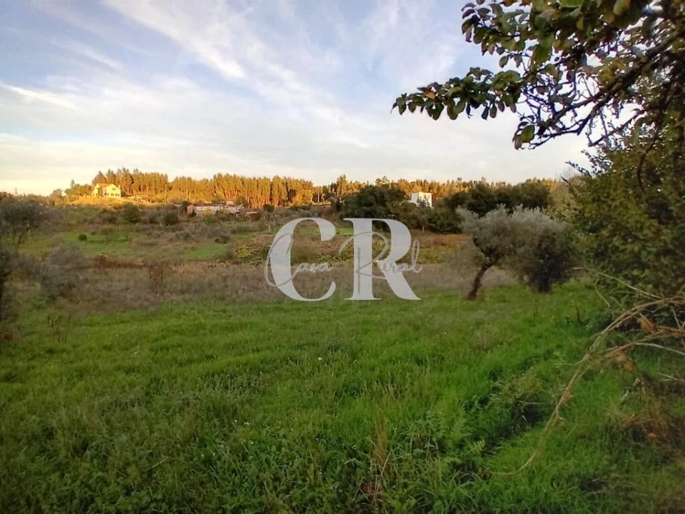 Moradia T3 para Venda em Graça Foto 33