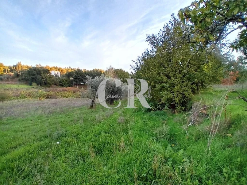 Moradia T3 para Venda em Graça Foto 26