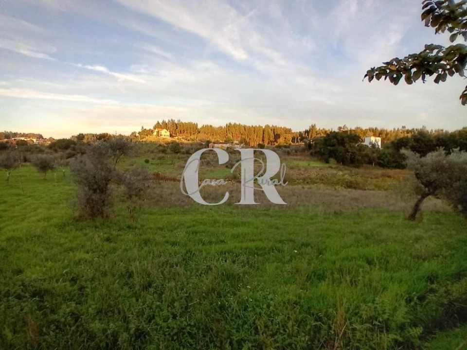 Moradia T3 para Venda em Graça Foto 31