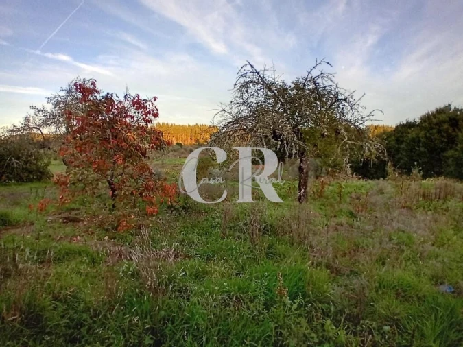 Moradia T3 para Venda em Graça Foto 23