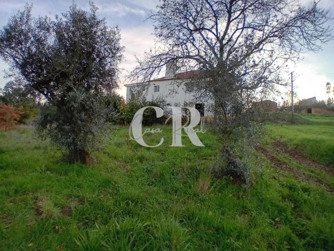 Moradia T3 para Venda em Graça Foto 25