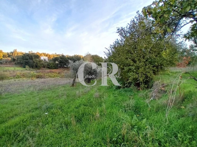 Moradia T3 para Venda em Graça Foto 26