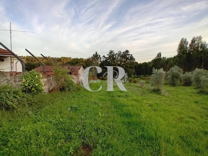 Moradia T3 para Venda em Graça Foto 32