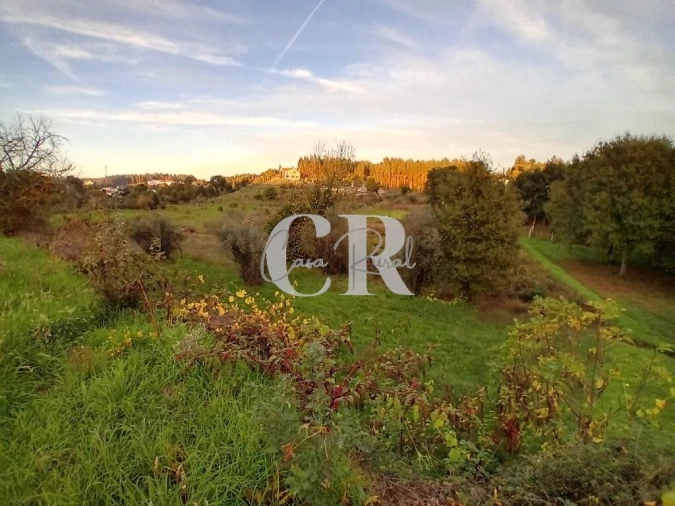 Moradia T3 para Venda em Graça Foto 30