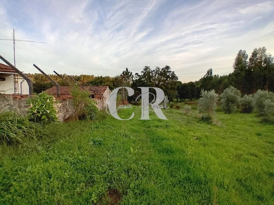 Moradia T3 para Venda em Graça Foto 32